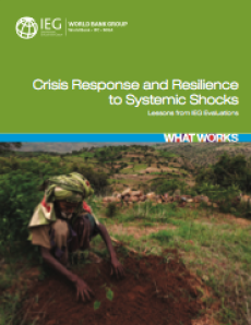 Crisis Response and Resilience to Systemic Shocks